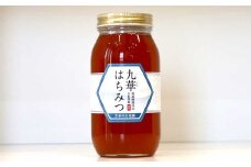 九華はちみつ 芳春の百花蜜 計1kg はちみつ 蜂蜜 ハチミツ 国産はちみつ ハニー 039-0072