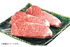 【2025年12月31日着】松阪肉老舗 柿安 柿安牛ステーキ ／ お肉 おにく 肉 にく 牛肉 ステーキ グルメ 柿安牛 和牛