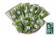 アグリー農園水耕栽培おまかせお野菜セット