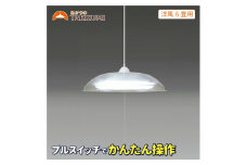 LED ペンダントライト RV60049 洋風 6畳用 プルスイッチ 日本製 照明 省エネ 簡単操作 ライト 天井 リビング 寝室 ダイニング キッチン 台所 TAKIZUMI 瀧住電機工業