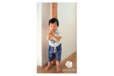 MORITO　SUKUSUKU MEMORY　森の身長計＜杉＞　木のインテリア