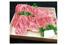 肉の横綱　伊賀牛　サーロイン　ステーキ　250g×2枚 ／ 冷凍発送　産直　自家牧場　名産牛　特産　三重県　名張市　奥田　オクダ[0527]３-は