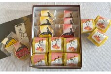 さわ田銘菓詰め合わせ（12個入り）5月～9月お届け 冷蔵配送【 お菓子 スイーツ 和菓子 セット 詰め合わせ あずき 贈り物 】