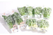 なばリーフ アソート セット フリルレタス 3p グリーンリーフレタス 2p ケール 2p 計7p入/ 水耕栽培 時短 野菜 レタス 特殊フィルム包装 新鮮 洗わずに食べられる サラダ お鍋 スープ サンドウィッチ 炒め物 煮物 サラダ 手軽 安全 安心 栄養 健康