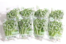 なばリーフ フリルレタス パック 8p入/ 水耕栽培 時短 野菜 レタス 特殊フィルム包装 新鮮 洗わずに食べられる 無洗 サラダ お鍋 スープ ラーメン サンドウィッチ 手軽 安全 安心 栄養 健康