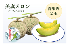 希少品　特選　美旗メロン　2L（青）2玉