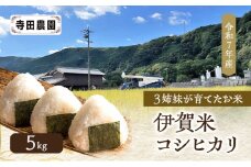 3姉妹が育てたお米 寺田農園 令和7年産 伊賀米コシヒカリ 5kg 3年連続 特A 米 こしひかり ご飯 ごはん 白米 精米 三重県 名張市