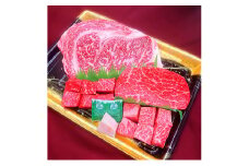 伊賀牛ステーキセット (約550g)