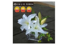 アートフラワー エミリオ・ロバ  カサブランカ2L TTNTA-90200