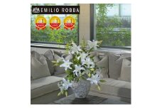 アートフラワー エミリオ・ロバ  カサブランカ4XL TTUUA98100