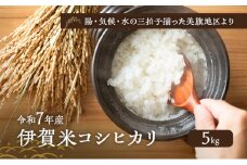 陽・気候・水の三拍子揃った美旗地区より みはたM'sファーム 令和7年産 伊賀米コシヒカリ 5kg 3年連続 特A 米 こしひかり ご飯 ごはん 白米 精米 三重県 名張市