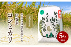 8月下旬出荷予定！ 赤目滝の清流で栽培された 令和7年産 伊賀米コシヒカリ 5kg 3年連続 特A 米 こしひかり ご飯 ごはん 白米 精米 三重県 名張市