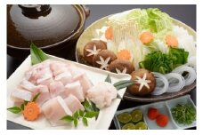 東紀州産　天然クエコース　宿泊券２名様　OSV-9