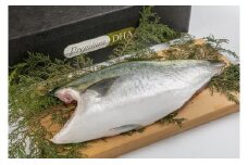 尾鷲物産のＤＨＡプレミアブリ《12月～2月期間限定出荷：先行予約も可（到着日時指定必須商品）》　OB-3 
