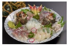  地魚のお刺身盛合わせ タイ たい 鯛 イサギ いさぎ カンパチ かんぱち 勘八 グレ ぐれ イカ いか 烏賊 サザエ さざえ 栄螺 海鮮 魚貝類 魚介類 刺身 刺し身 旬の刺身 小分け 手軽 簡単 三重県 尾鷲市 UO-39