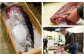 新鮮な国産マグロにこだわり、
仕入れから、加工・包装・発送までの全行程を自社内加工！