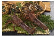  伊勢エビ・アワビセット（2月から4月到着分）えび エビ いせえび イセエビ あわび 鮑 アワビ 高級 鮮魚 海鮮 産地直送 魚介 刺身 グラタン 焼き物 汁物 えび鍋 ギフト 贈答 贈り物 配送日指定 祝い お祝い 歳暮 中元 天然 海の幸 正月　UO-43
