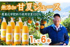 甘夏 （農薬化学肥料不使用）無添加100％ジュース1L×6本   尾鷲市 甘夏屋 平山農園   HI-4