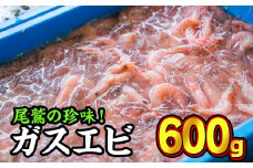 珍味！ガスエビ（ヒゲナガエビ） ６００gセット 天然 鮮度抜群 漁船直送 海の上で食べる味 直送 海老 えび エビ 殻付き 有頭 生食 刺身 冷蔵 魚介類 魚貝類 海産物 おかず 産地直送 三重県産 尾鷲市 国産 人気 HA-74