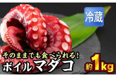 【冷蔵】ボイルマダコ 約１kg（250g × ４袋）セット（到着日時指定必須商品） 小分け 旨味凝縮 ぷりぷり ふっくら やわらか たこ タコ　蛸 旨味凝縮 たこ タコから揚げ タコの唐揚げ たこ焼き タコ焼き 酢だこ 正月 おせち つまみ 肴 茹で ボイル おかず おつまみ 簡単 調理 三重県尾鷲市 人気 大満足 返礼品 MT-8
