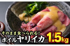 ボイルヤリイカ 約1.5kg（300g × 5袋）セット（到着日時指定必須商品）いか イカ 烏賊 焼きそば 煮物 お好み焼き 焼き物 フライ おつまみ つまみ あて 小分け 個包装 使い切り 旨味 ジューシー 肉厚 簡単 個別包装 少量 贈答 ギフト 贈り物 魚介類 三重県尾鷲市 人気 大満足 リピート 返礼品  MT-9