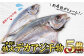 遊漁船 「真祐丸」× 干物屋「北村商店」のコラボ商品！