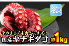 【冷凍】国産ヤナギダコ 約１kg（250g × ４袋）セット 小分け  旨味凝縮 ぷりぷり ふっくら やわらか たこ タコ　蛸 旨味凝縮 たこ タコから揚げ タコの唐揚げ たこ焼き タコ焼き 酢だこ 正月 おせち つまみ 肴 茹で ボイル おかず おつまみ 簡単 調理 三重県尾鷲市 人気 大満足 返礼品 MT-10