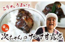  次ちゃんのさんまの甘露煮（醤油）100g×5個セット　TS-2