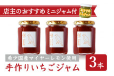 手作り いちごジャム 160g ３本 セット 希少 国産 マイヤーレモン お得 お試し ミニジャム付 保存料 着色料 不使用  ジャム フルーツ 果物 いちご 苺 果肉 パン 朝食 朝ご飯 贈り物 贈答 箱詰め プレゼント ギフト 手作り ハンドメイド  詰め合わせ スイーツ おやつ ケーキ パンケーキ 美味しい 三重県 尾鷲市 KA-38