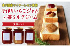 希少 国産 マイヤーレモン 使用 手作り いちごジャム と 苺ミルクジャムのセット 160g×3本 こだわり ジャム 国産 保存料 着色料 不使用 ジャム フルーツ 果物 いちご 苺 牛乳 ミルク 果肉 パン 朝食 朝ご飯 贈り物 贈答 箱詰め プレゼント ギフト 手作り ハンドメイド 詰め合わせ スイーツ おやつ ケーキ パンケーキ 美味しい 三重県 尾鷲市  KA-36