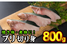  加熱用ブリ切り身　大満足800gセット（100g × 8切れ） 小分け ブランド ぶり 鰤 ブリ ぶり 真空 人気 ランキング 高級 大満足 美味しい 贈答 魚介類 海鮮 冷凍 厚切り 薄切り ふるさと納税 ふるさとチョイス 三重県　OB-11 