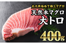 天然本マグロ 大トロ 大満足400g 絶品 国産 生 本グロ マグロ まぐろ 鮪 赤身 刺身 海鮮丼 大トロ 大とろ堪能 まったり なめらか とろける 食べ比べ セット 刺身 海鮮丼 冷凍 ギフト 人気マグロ おすすめマグロ マグロ食べ比べ マグロ刺身 冷凍マグロ 厳選マグロ 贈答マグロ ギフトマグロ とろけるマグロ人気まぐろ おすすめまぐろ まぐろ食べ比べ まぐろ刺身 冷凍まぐろ CH-82 