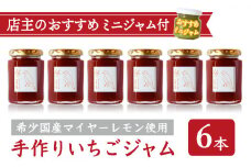 手作り いちごジャム 160g ６本 セット  希少 国産 マイヤーレモン お得 お試し ミニジャム付 保存料 着色料 不使用  ジャム フルーツ 果物 いちご 苺 果肉 パン 朝食 朝ご飯 贈り物 贈答 箱詰め プレゼント ギフト 手作り ハンドメイド  詰め合わせ スイーツ おやつ ケーキ パンケーキ 美味しい 三重県 尾鷲市 KA-37