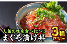 まぐろ漬け丼 お試しセット ３種＜お試し商品＞ふるさと納税 魚 冷凍 加工品 惣菜 おすすめ おいしい 刺身  おせち セット 産地直送 国産 三重県 海鮮 漬け 真空パック 小分け 惣菜 人気 海鮮丼 漬け丼 マグロ 鮪 まぐろ 正月 お正月 年末 ふるさと納税 ランキング マグロ専門店 三重県 尾鷲市 KI-29 