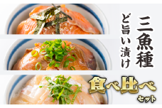 3種の魚の漬け丼 食べ比べセット ＜お試し商品＞　ふるさと納税 魚 冷凍 加工品 惣菜 おすすめ おいしい 刺身 おせち セット 産地直送 国産 海鮮 漬け 真空パック 小分け 惣菜 人気 海鮮丼 漬け丼 サーモン 鮭 さけ  ブリ 鰤 ぶり 鯛 たい タイ 真鯛 正月 お正月 年末 ふるさと納税 ランキング マグロ専門店 三重県 尾鷲市 KI-48