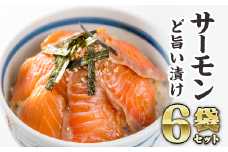 サーモンの漬け丼 ６袋セット ふるさと納税 魚 冷凍 加工品 惣菜 おすすめ おいしい 刺身 おせち セット 産地直送 国産 三重県 海鮮 漬け 真空パック 小分け 惣菜 人気 海鮮丼 漬け丼 さけ 鮭 サーモンアトランテックサーモン アトラン 正月 お正月 年末 ふるさと納税 ランキング マグロ専門店 三重県 尾鷲市KI-49