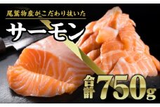 サーモン ブロック&切り落とし750gセット 小分け 鮭 サーモン アトランティックサーモン 国際規格SQF2000 さけ シャケ しゃけ sake カルパッチョ ソテー レアステーキ 人気 高級 大満足 美味しい 贈答 生食用 刺身 お刺身 刺し身 魚介類 海鮮 冷凍 厚切り 薄切り ふるさと納税 ふるさとチョイス 三重県 尾鷲市 OB-22