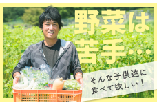 【農薬不使用】やさしい風味！旬のお野菜詰め合わせボックス 〈100サイズ発送〉　SO-3 　
