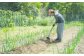 尾鷲市三木里地区の「耕作放棄地」を再利用
農薬不使用・植物性自然肥料を使用して育てた野菜です。