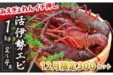 【みえぎょれんイチ押し！】《12月限定300セット》活伊勢エビ1kg(2~4尾)　MG-2