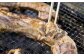 トロに隣接する部位なので、脂たっぷりジューシーな味わいが特徴です！