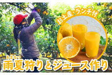 ＜お土産・ランチ付＞幻の雨夏狩りとジュース作り（体験１名様）　TK-5
