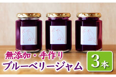  ブルーベリージャム ３本 ＜160g × 3本＞　手作り こだわり ジャム  ブルーベリー 保存料 着色料 不使用  ジャム フルーツ 果物 果肉 パン 朝食 朝ご飯 贈り物 贈答 箱詰め プレゼント ギフト 手作り ハンドメイド  詰め合わせ スイーツ おやつ ケーキ パンケーキ 美味しい 三重県 尾鷲市 KA-25
