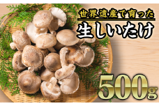 生しいたけ　約500gセット＜お試し商品＞ FA-2