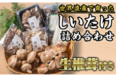 椎茸づくし！しいたけ詰め合わせセット FA-4