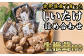 やきやまふぁーむ自慢の椎茸製品に、生しいたけまでセット！
世界遺産「熊野古道」の麓で育てた！おいしい椎茸セットを産地直送！