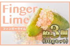 フィンガーライム ３個程度（合計30g）【FINGER LIME JAPAN公認】（発送：通年7月〜12月頃）キャビア ライム  フルーツ キャビア 尾鷲 ふるさと納税　SY-3