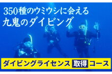 350種の美しい ウミウシ が魅力 【 ダイビングライセンス 取得 コース】 オールシーズン 海 ツアー マリンスポーツ 三重県 尾鷲市 九鬼 　DI-7