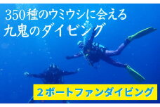 350種の美しい ウミウシ が魅力 【 ２ボートファンダイビング】 オールシーズン 海 ツアー マリンスポーツ 三重県 尾鷲市 九鬼 　DI-8