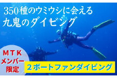 350種の美しい ウミウシ が魅力 【 ＭＴＫメンバー限定 ２ボートファンダイビング】 オールシーズン 海 ツアー マリンスポーツ 三重県 尾鷲市 九鬼 　DI-9